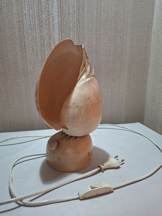 Ночник светильник ракушка