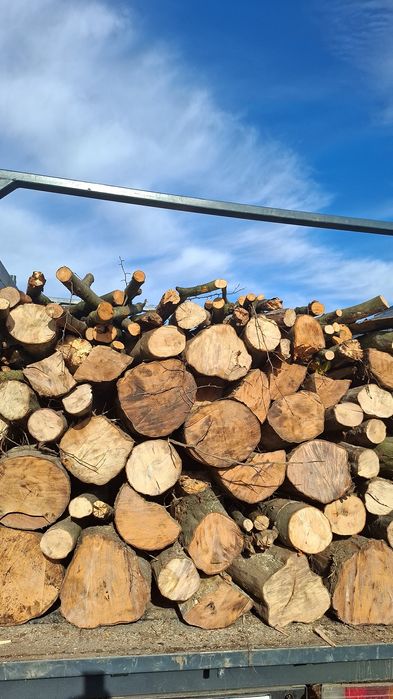 Lemn de foc Carpen Acat Fag