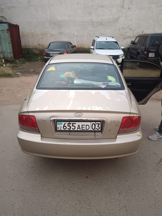 Соната 2004 года газ-бензин
