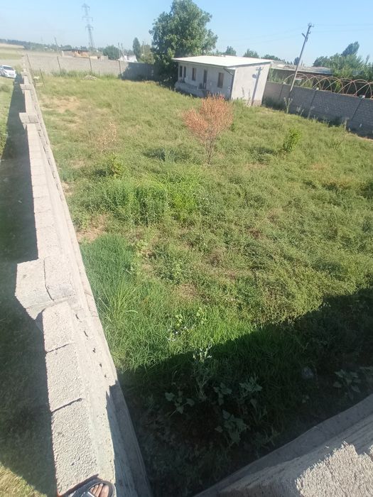 Пискент туманидан участка