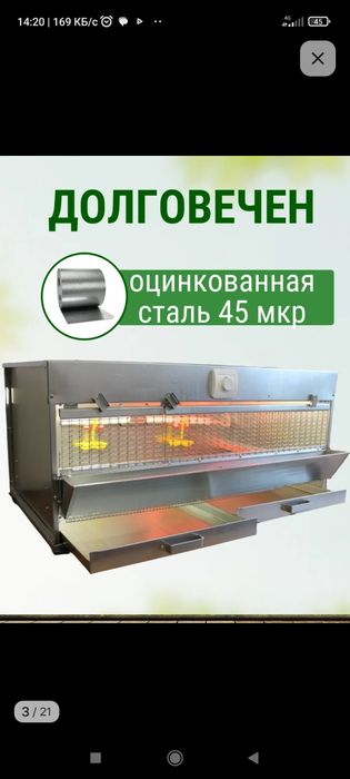 Браудер для цыплят