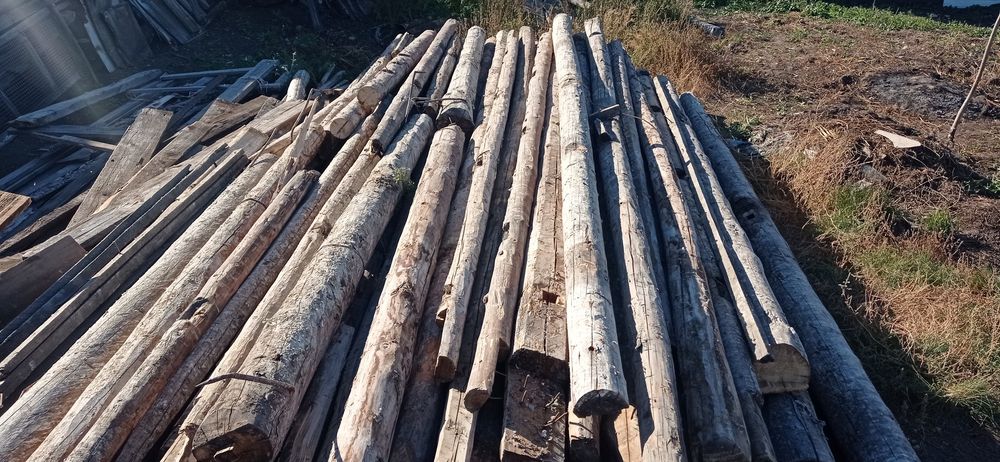 Продам бревно кругляки.