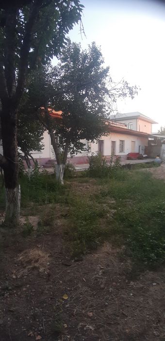 Kok terak avtodrom kocha 8 sotix