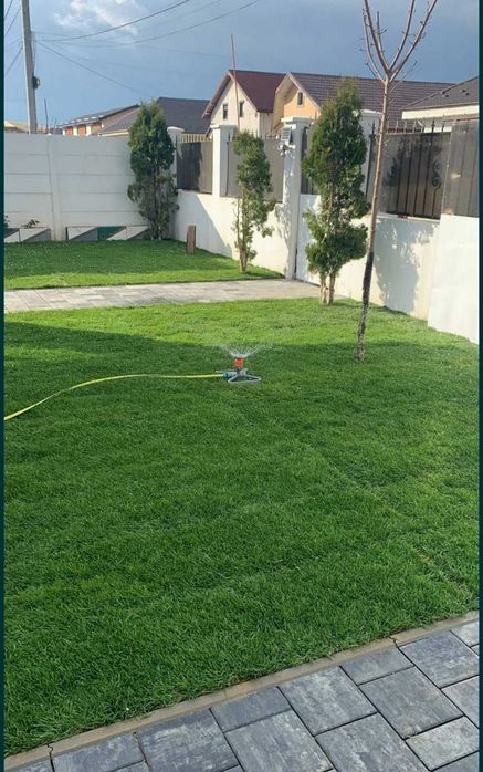 Piatra de munte, gratare de caramida si plante