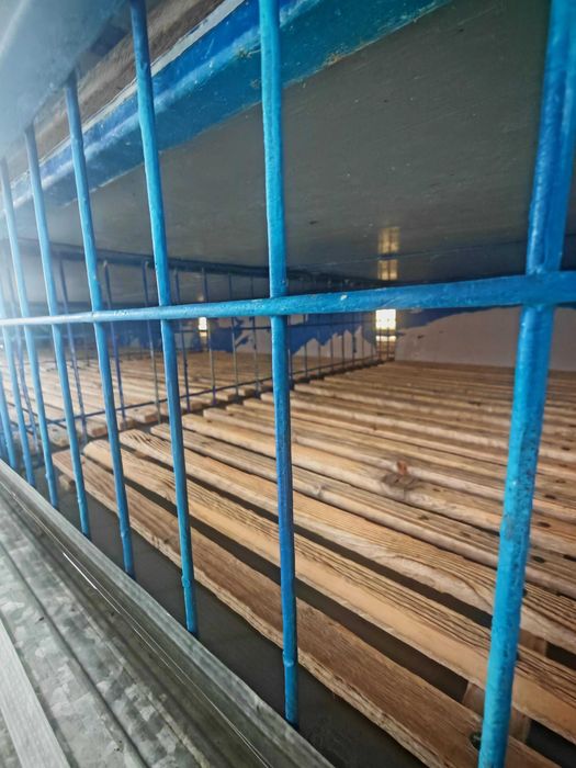 Autoutilitara de transport porumbei - doar Container , cusca porumbei