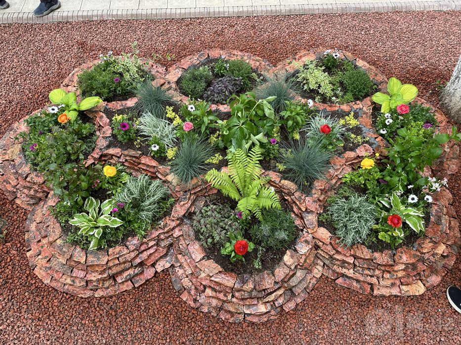 Gazon, Landshaft, Bog'bonchilik - Professional Xizmatlar | Toshkent