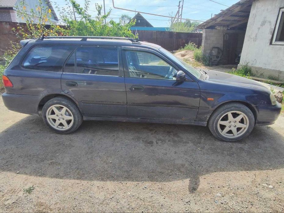 Хонда ортхия продам
