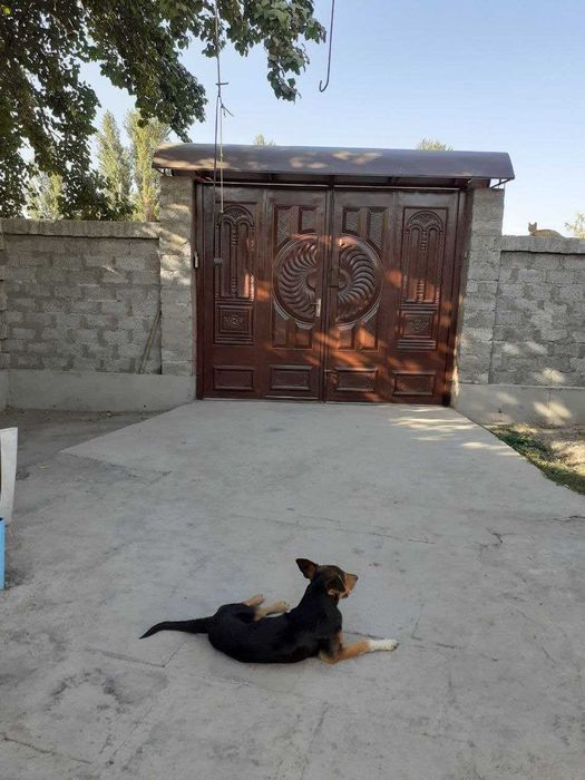 Продоется свой дом