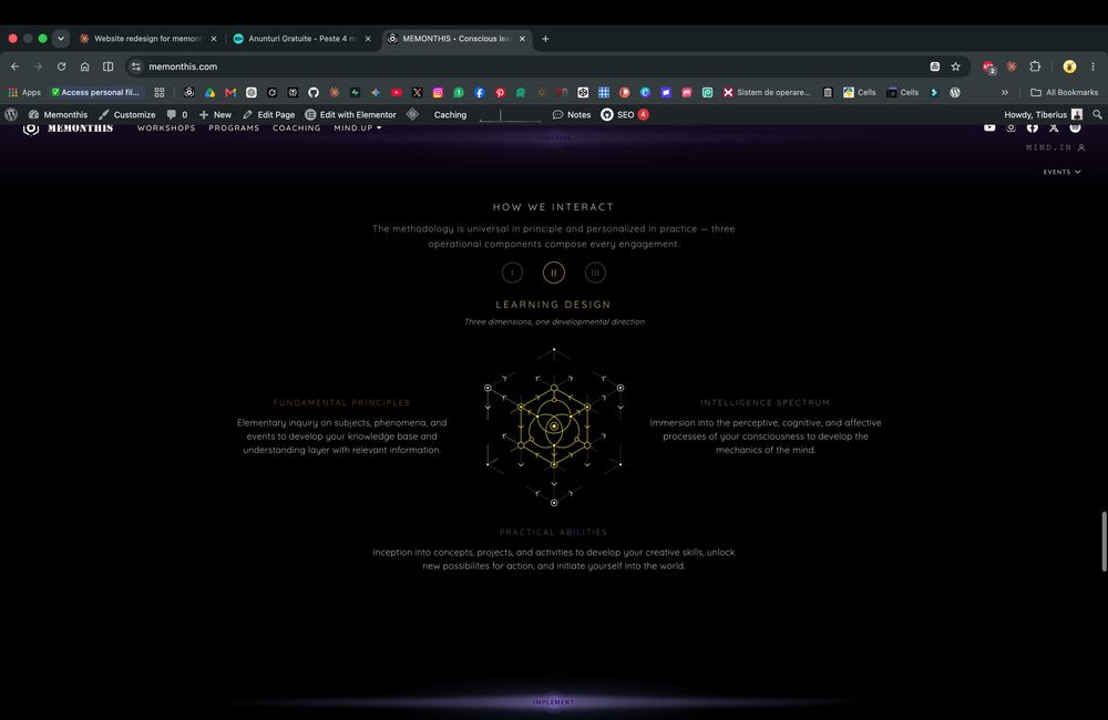 Website de la zero — design unic, bază de date, identitate vizuală completă