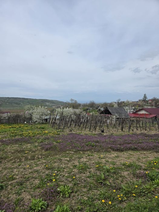 Casa de vânzare cu teren generos