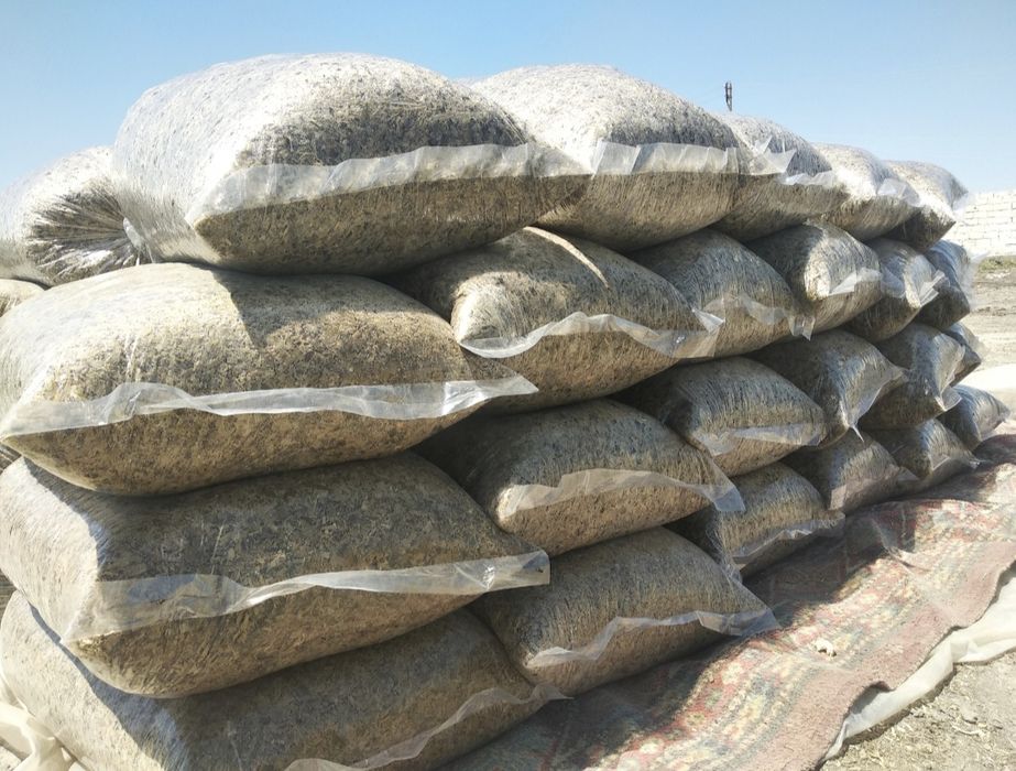 Донли силос сотилади.