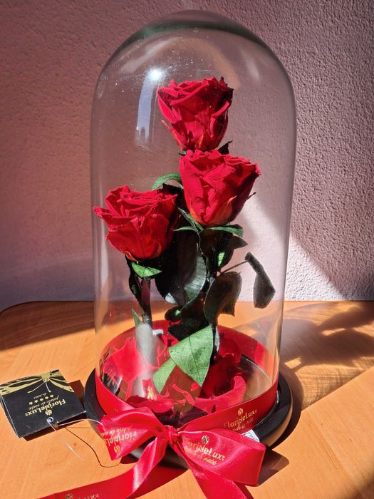 Trandafiri criogenati în cupola de sticla