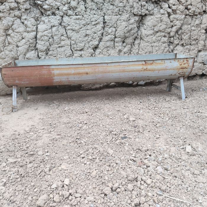 Mol VA qoylarning oxiri