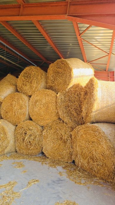 Vand Baloti orz si pai 1,2x1,5 dimensiune