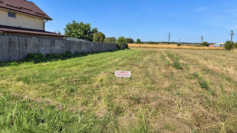 Teren intravilan 1.060 mp | Curtișoara (Olt) | Zonă liniștită, utilități