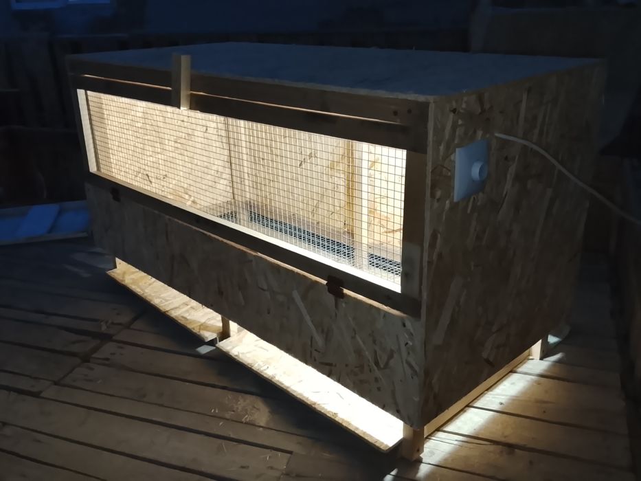 Брудер для цеплята