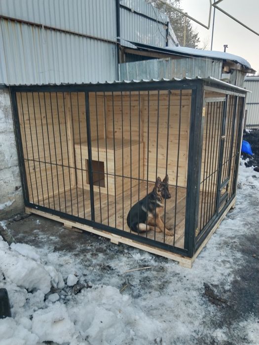 Вольер для собак.