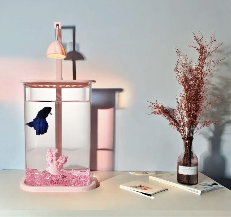 Аквариум + рибки + корм