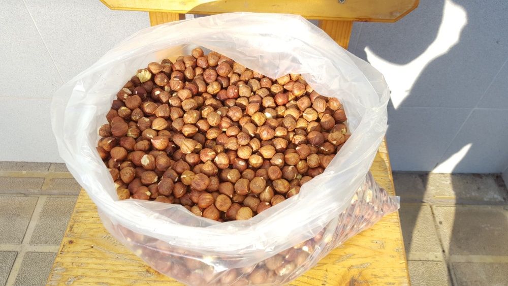 Еко Лешникова ядка - реколта 2025 Вкусна и качествена ядка