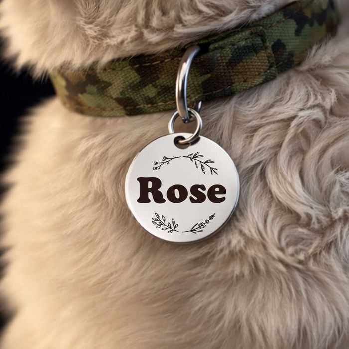 Медальони за животни. Кучешки медальони, котешки медальони. Котешки табелки с име