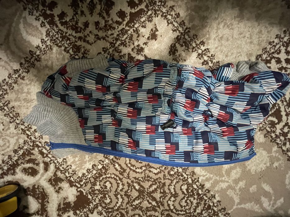 Одежда для собаки мопс