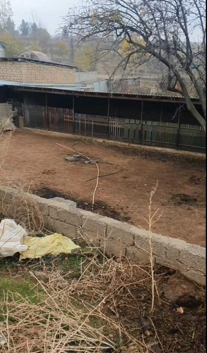 продается Ферма  для скотоводство в пос. Джалаир. Город Чирчик.