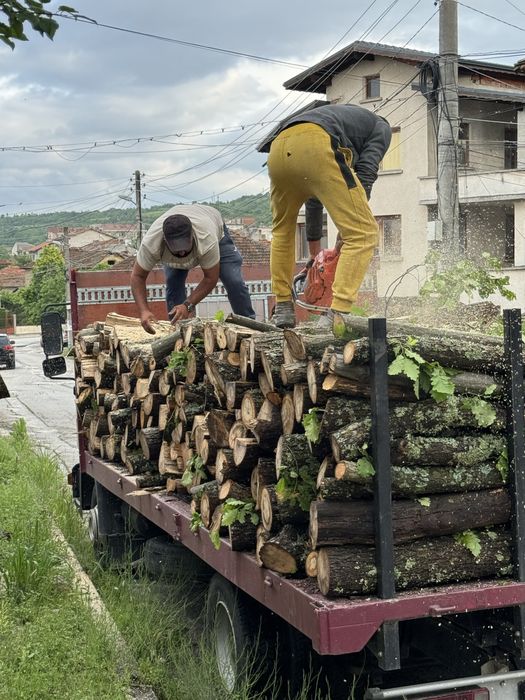Дърва за огрев София! Дъб Бук Габър