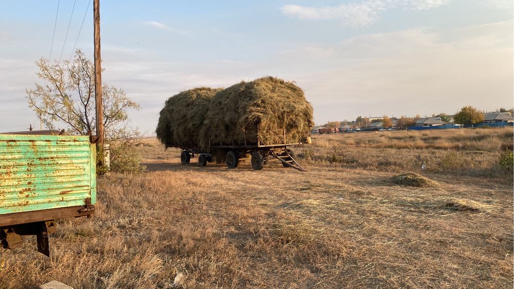 Продам прицепы птс 4. Без вложений. Рабочие.