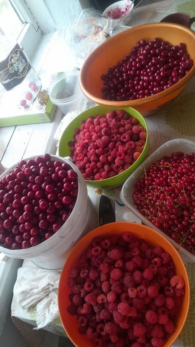 Продам дачу на спп в сторону Гагарина