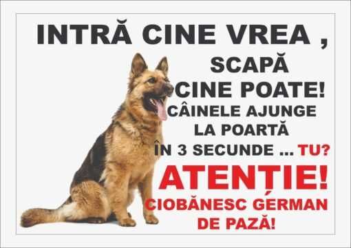 Stickere auto baby on board, semn incepator, limitare viteza,caine rau