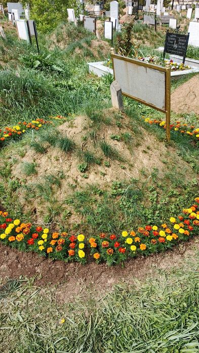 Богбон хизмат Садовник