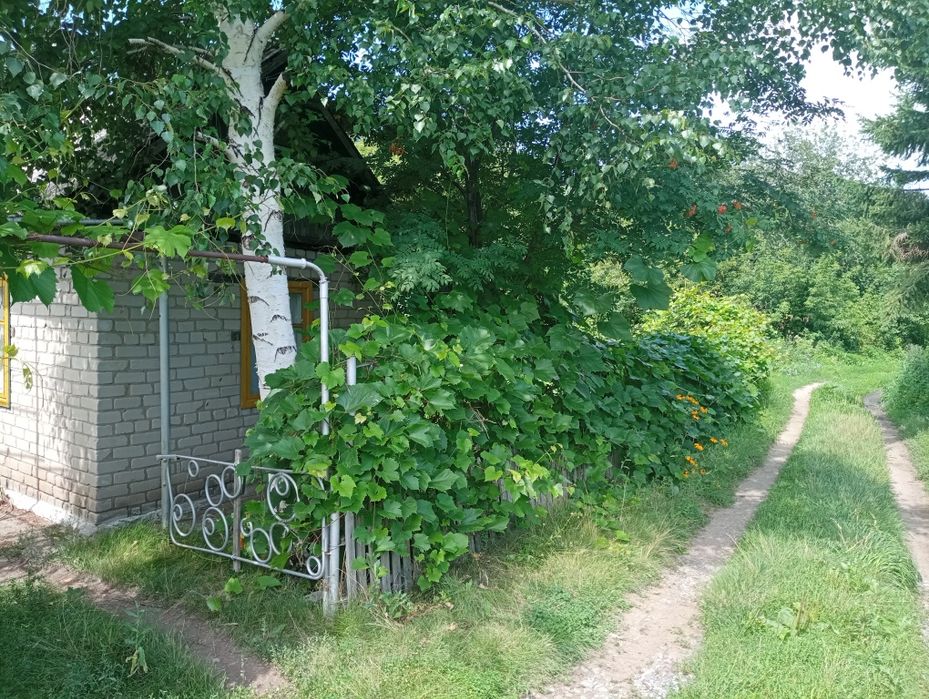 Продам дачу расположена возле с.Кожохово Глубоковского района ВКО