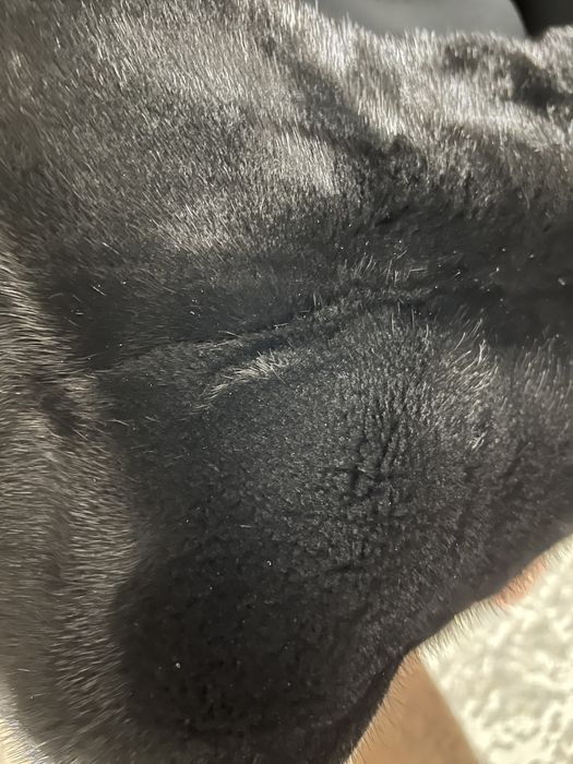 Норковая шуба Blackglama