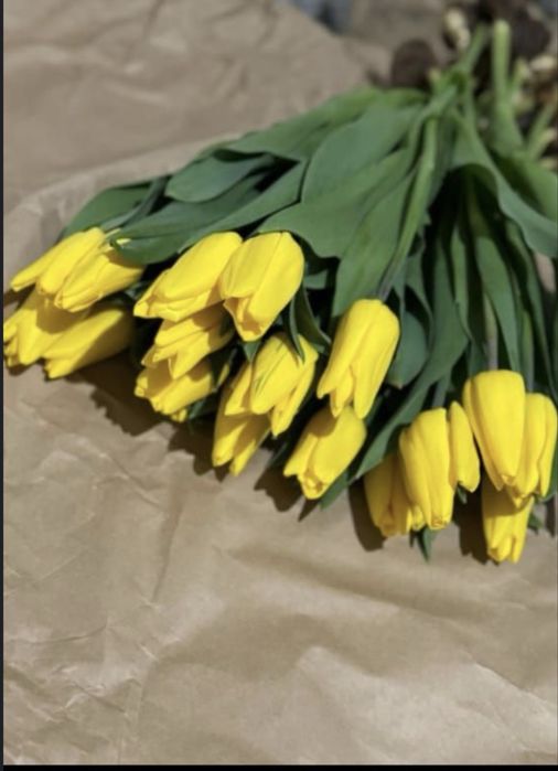 Тюльпаны Опт/Розница