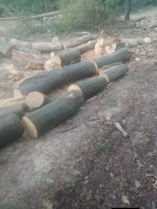 Vând lemn de foc esență tare