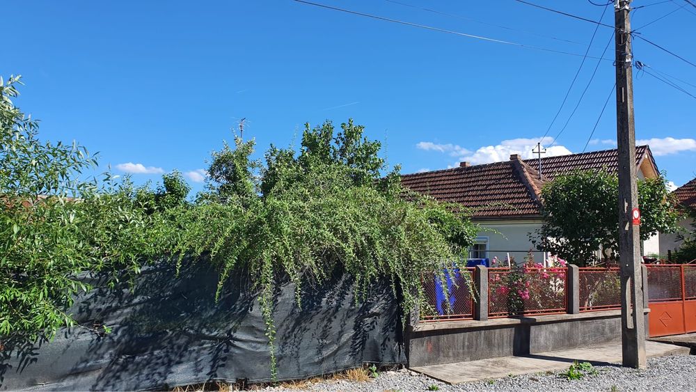 Teren intravilan Pestisu Mare, Hunedoara 2000mp