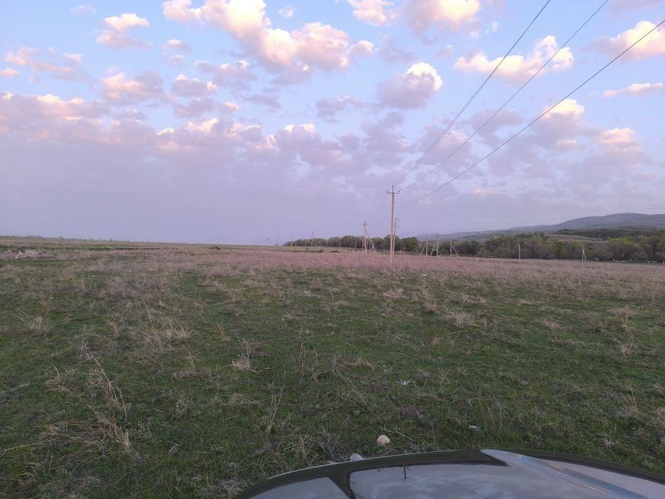 Сдам в аренду участок для посева