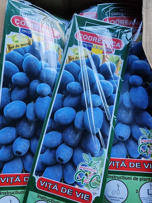 Vita de vie ambalata