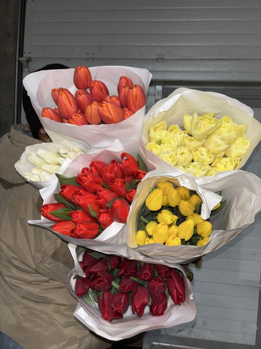 Голландские тюльпаны