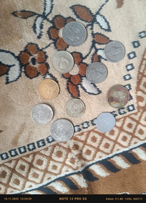 Продам аникварянт