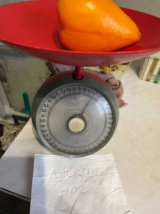 Коллекционные семена томатов