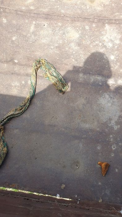 Remorca  5 tone basculabila