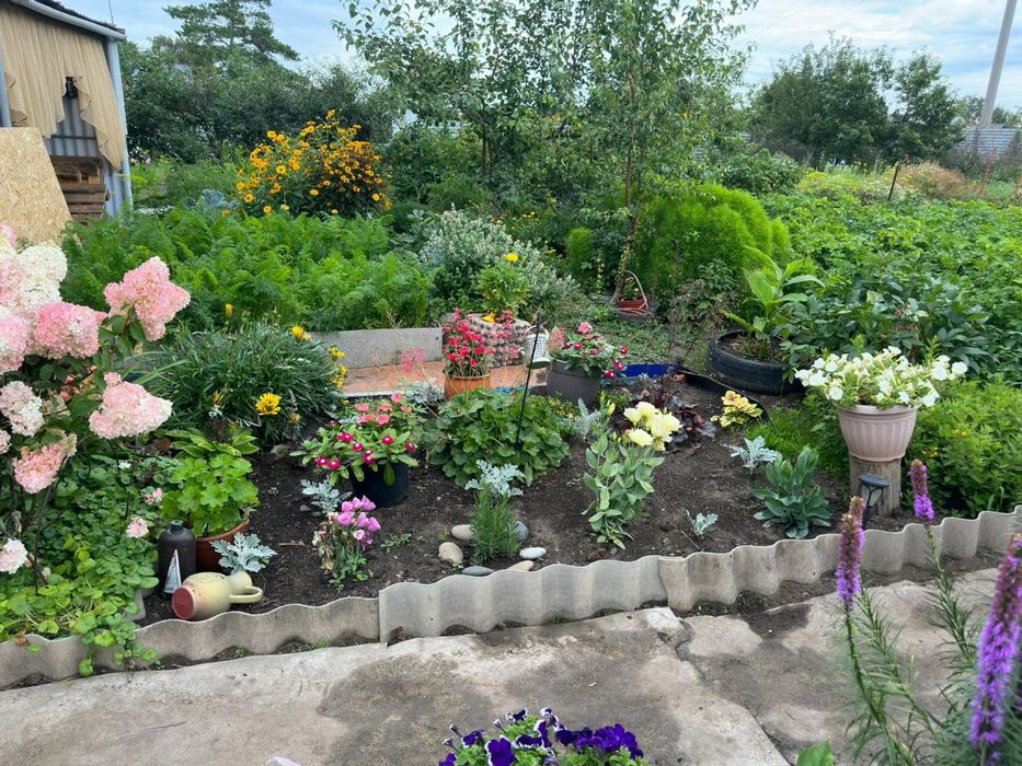 Дачный участок в СО «Энергетик»