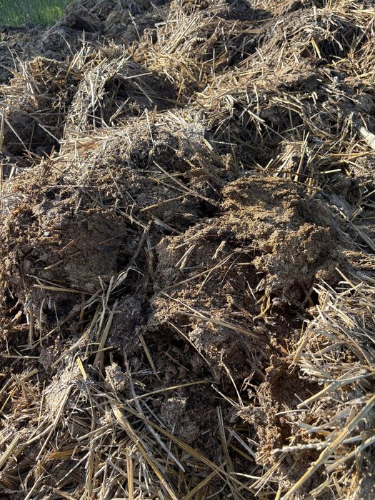 Gunoi de gaina natural fermentat pentru cradina si solar!
