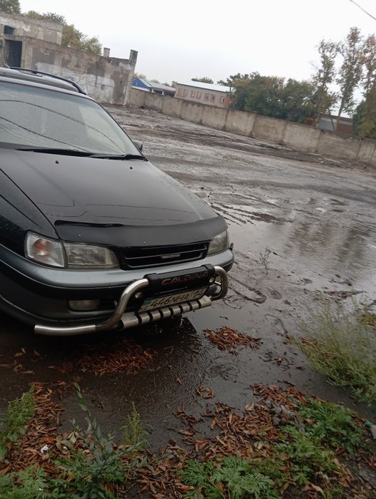 Продам Калдину..