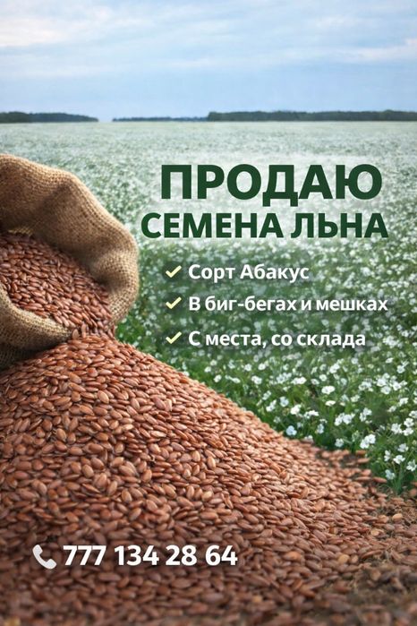 Семена Лён Абакус