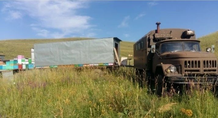 Мед со своей пасеки