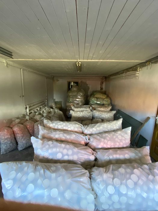 Brichete de foc din brad