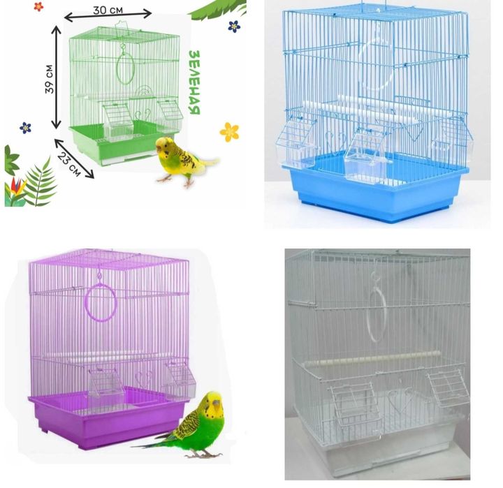 Попугайчики волнистые