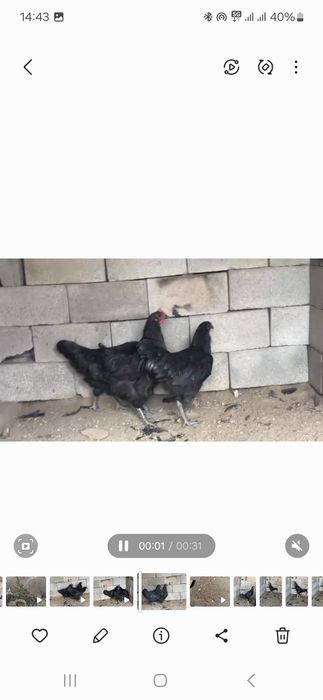 Продам Продам Продам